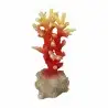 Aqua Della - Coraal acropora Orange - 7x6x14,5cm - Corail orange