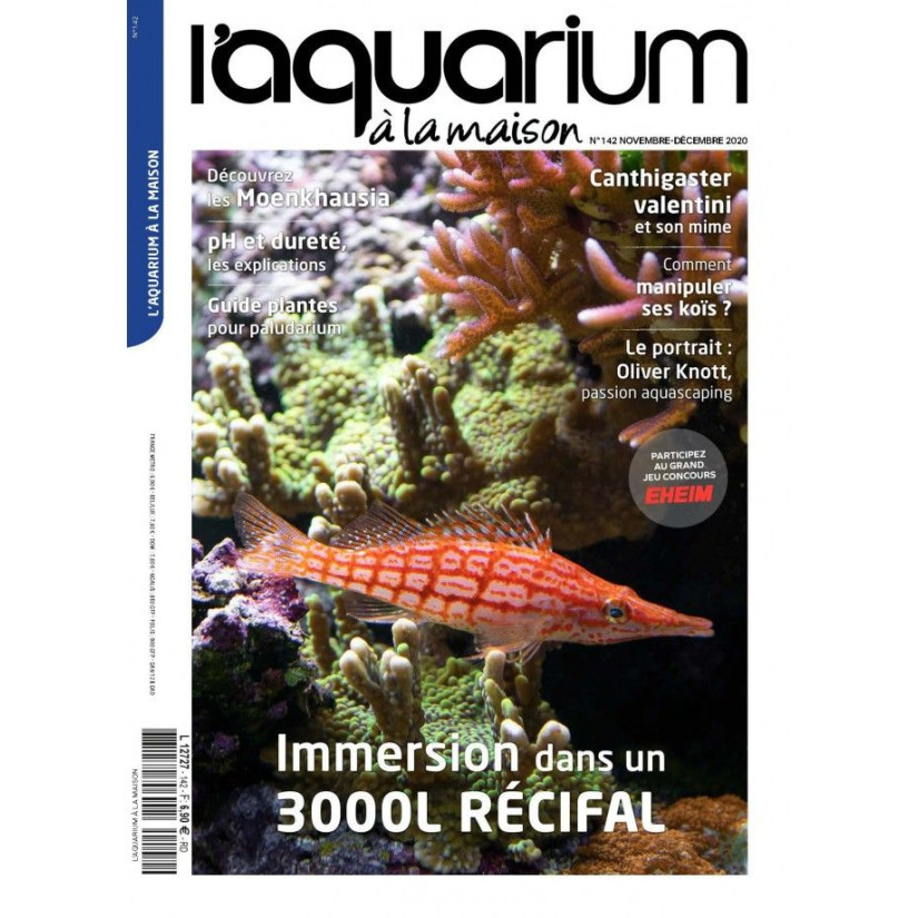 The Aquarium at home - Number 142