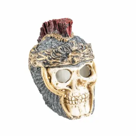 Aqua Della - Roman Skull S - 11x7.3x9.5cm