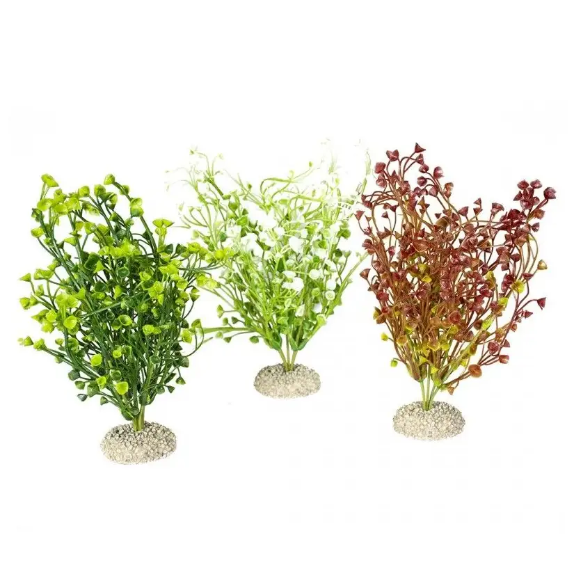 Aqua Della - Bacopa-Pflanze Gemischte Farben M - 25cm