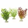 Aqua Della - Bacopa-Pflanze Gemischte Farben M - 25cm