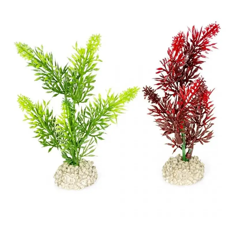 Aqua Della - Elodea densa Pflanze Gemischte Farben M - 25cm