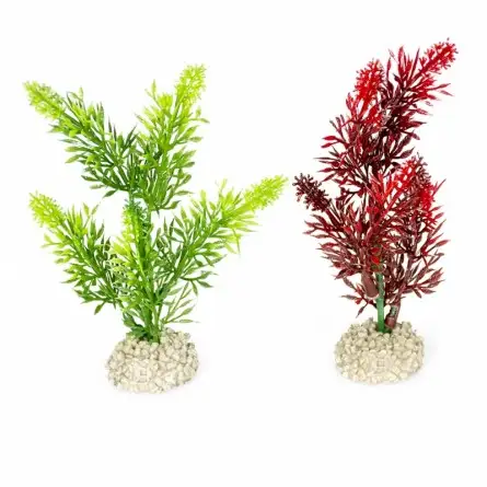 Aqua Della - planta Elodea densa Cores misturadas M - 25cm