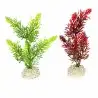 Aqua Della - Elodea densa Pflanze Gemischte Farben M - 25cm