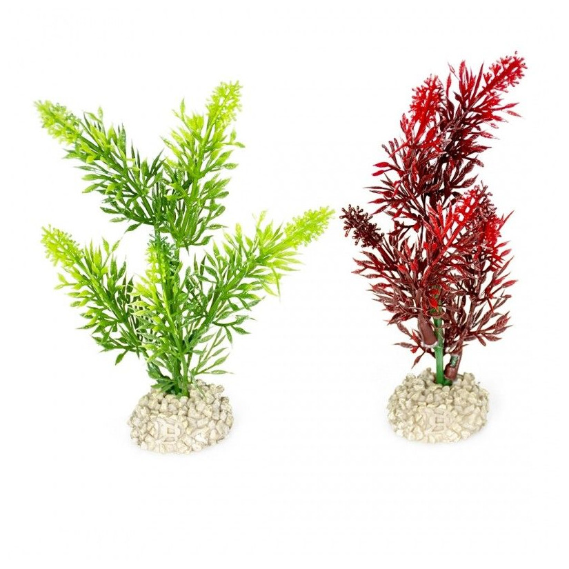 Aqua Della - Elodea densa plant Mixed colors M - 25cm