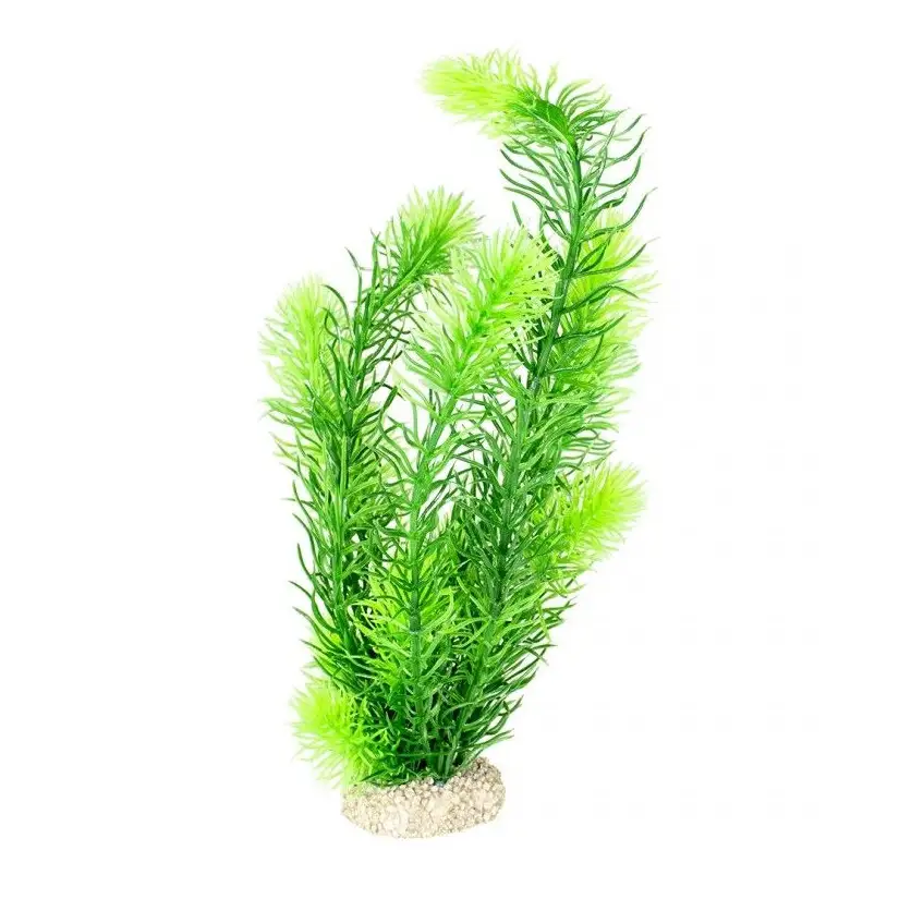 Aqua Della - Planta Hornwort Verde Oscuro - 32cm