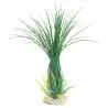 Aqua Della - Sydeco hoge grastrossen - 42cm - Plantendecoratie