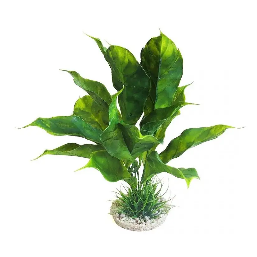 Aqua Della - Planta de anubias Sydeco - 28cm - Planta artificial de decoración