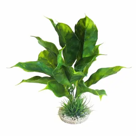 Aqua Della - Pianta Sydeco anubias - 28cm - Pianta artificiale da decorazione