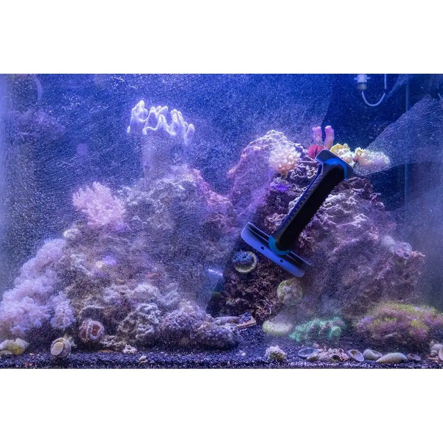 Aquarium magnet on sale