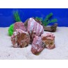 AQUAVIE - Stone - RED JASPER - S