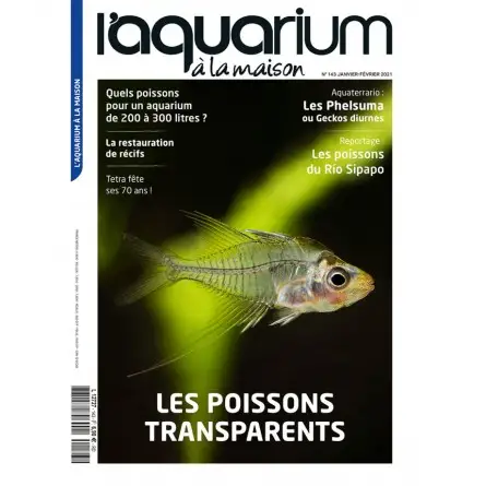 L'Acquario in casa - Numero 143