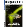 L'Acquario in casa - Numero 143