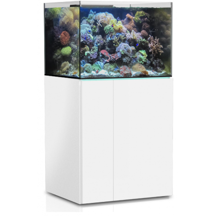 AQUA MEDIC - Armatus 300 XD - Blanc - Aquarium d'eau de mer