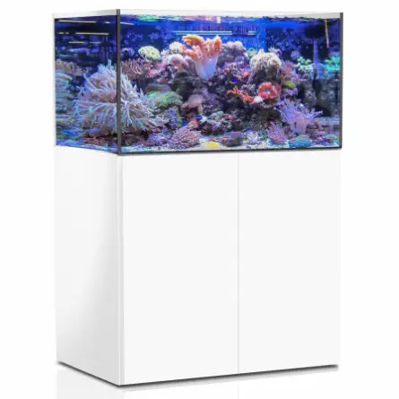 AQUA MEDIC - Armatus 375 XD - Blanc - Aquarium d'eau de mer