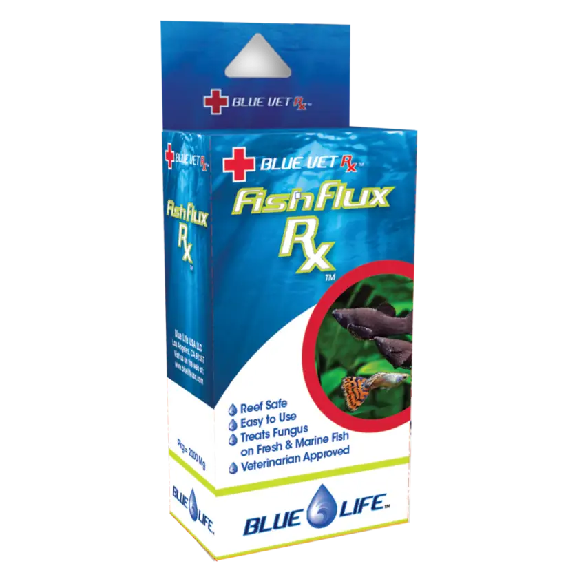 BLUE LIFE USA - Fish Flux Rx - 4gr - Antischimmelmedicijn voor siervissen