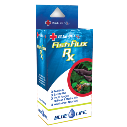 BLUE LIFE USA - Fish Flux Rx - 4gr - Antifungalni lijek za ukrasne ribice