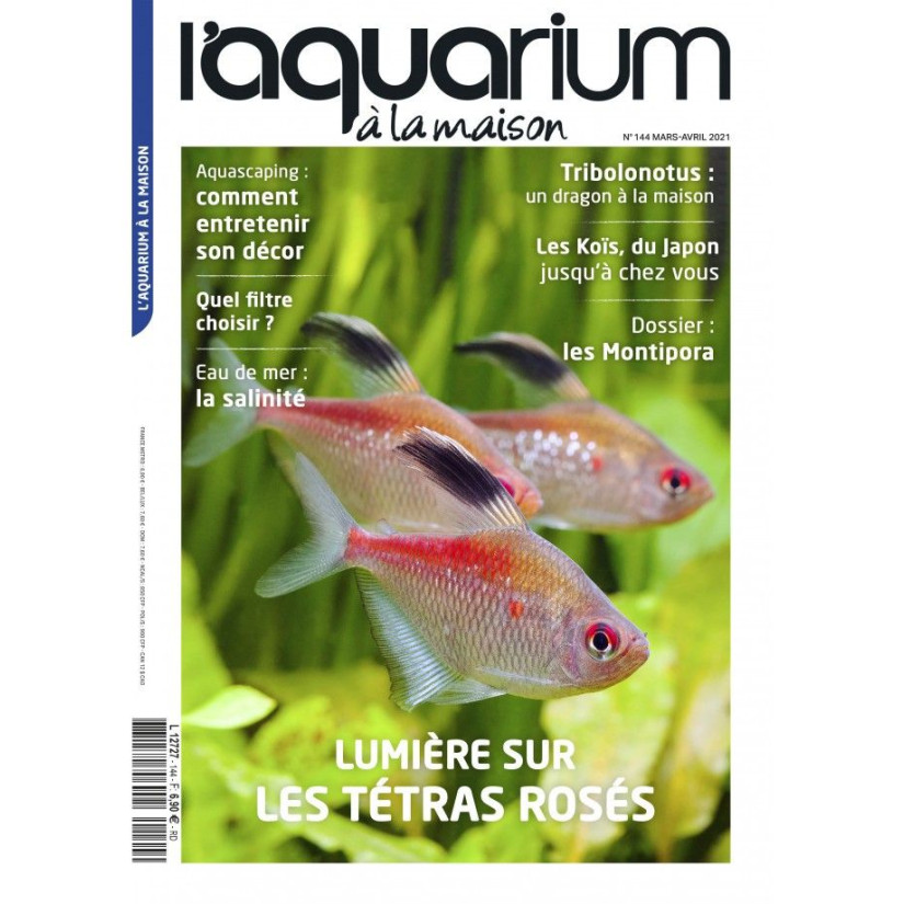 Das Aquarium zu Hause - Nummer 144