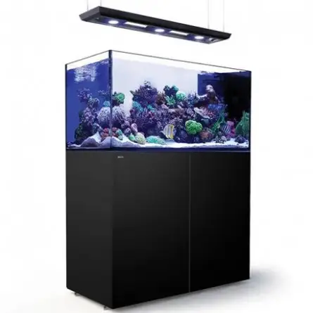 RED SEA - Reefer Peninsula Deluxe - P500 - Zwart - (3 ReefLED, hangende oprit)