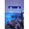 KESSIL - LED AP700 - 185 W - Apparecchio piatto per acquario marino