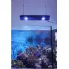 KESSIL - LED AP700 - 185 W - Apparecchio piatto per acquario marino