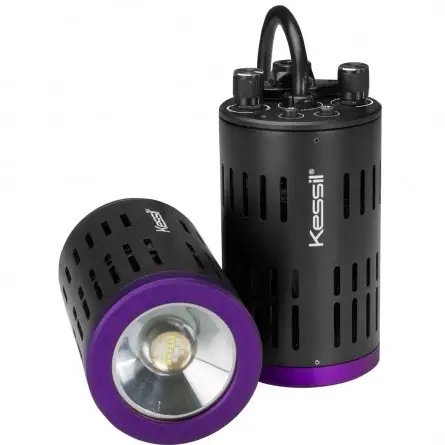 KESSIL - LED H160 Tuna Flora - 40 W - Luminaria diseñada para refugios