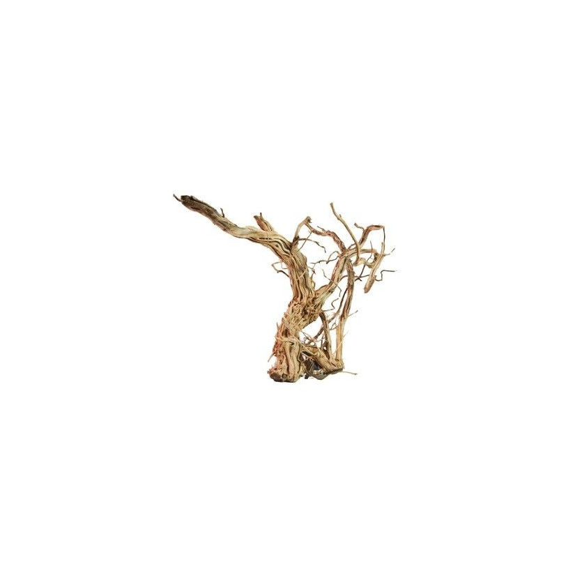 Wurzel – LEGNO DRAGON SKIN SM – 40 bis 60 cm