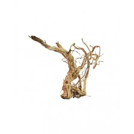 Root - LEGNO DRAGON SKIN SM - 40 TO 60CM