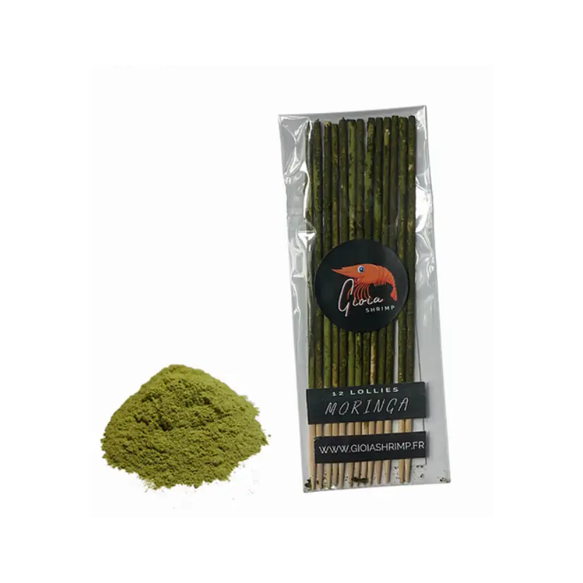 Gioia Shrimp - Lot de 12 lollies Moringa Bio - Pour crevettes d’aquarium