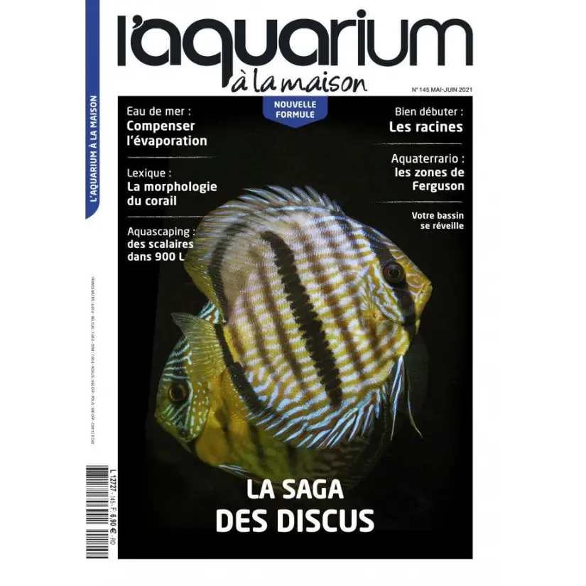 Das Aquarium zu Hause - Nummer 145