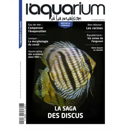 L'Acquario in casa - Numero 145