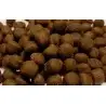 OCEAN NUTRITION - Coral pellets - Large - 100g - Coral food