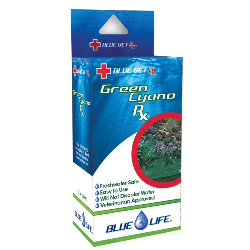 BLUE LIFE USA - Green Cyano Rx - 4g - Behandlung gegen Cyanobakterien