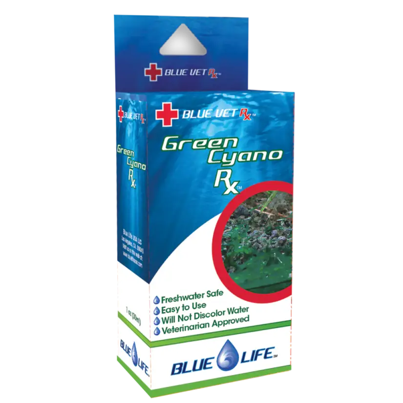 BLUE LIFE USA - Green Cyano Rx - 4g - Traitement contre les cyano-bactéries