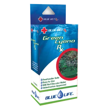 BLUE LIFE USA - Groene Cyano Rx - 4g - Behandeling tegen cyanobacteriën