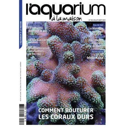 Das Aquarium zu Hause - Nummer 146