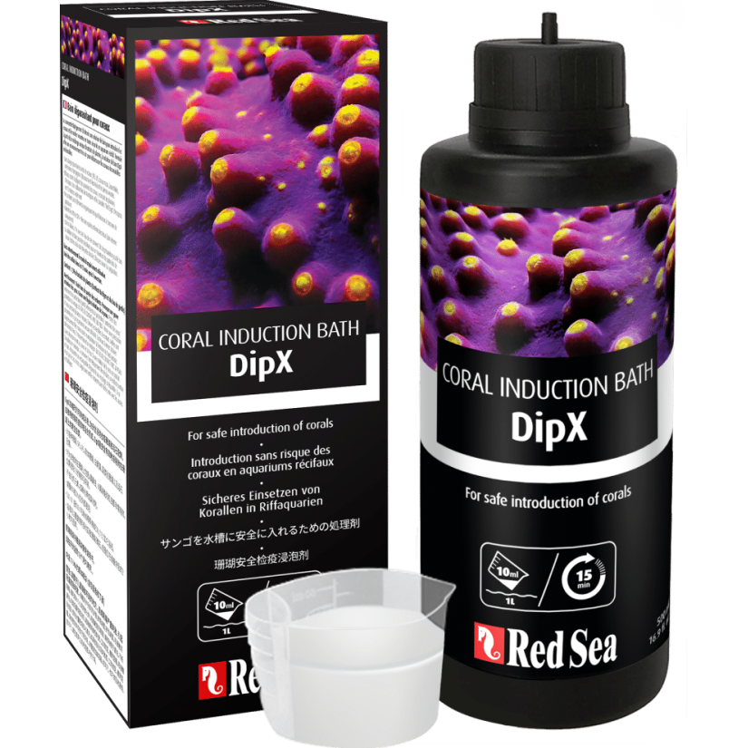 MAR ROJO - DipX - 5 L - Introducción segura de nuevos corales