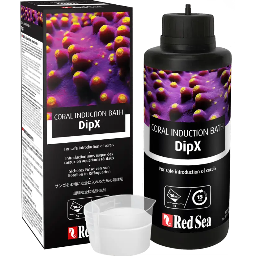 MAR ROJO - DipX - 5 L - Introducción segura de nuevos corales