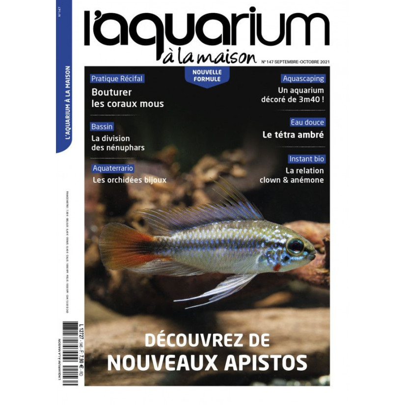 L'Acquario in casa - Numero 147