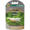 DENNERLE - Shrimp King - Mineral - 45 g - Alimento mineralizado para camarão