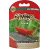 DENNERLE - Shrimp King - Kleur - 35 g - Kleurrijk garnalenvoer