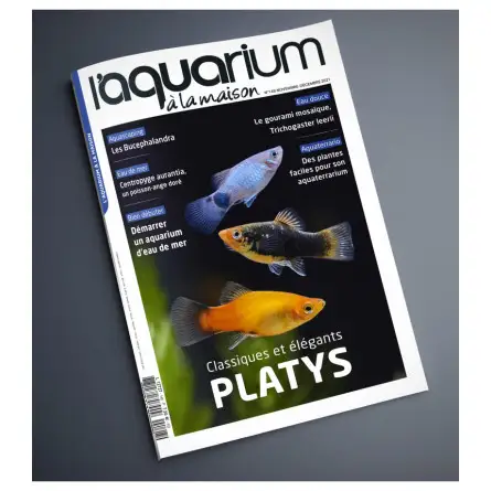 L'Acquario in casa - Numero 148