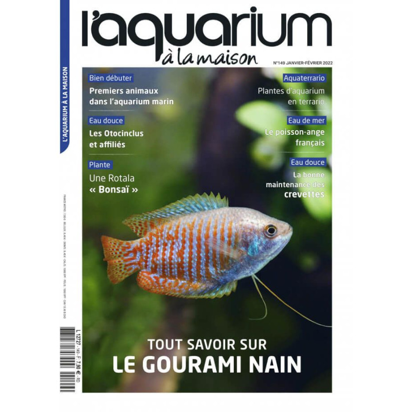 Das Aquarium zu Hause - Nummer 149