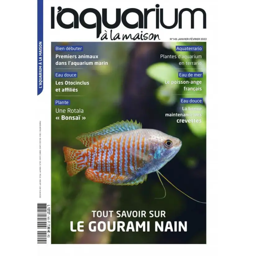 Das Aquarium zu Hause - Nummer 149