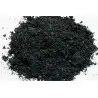 ADA - Clear Super - 50g - Activated Carbon Additives - For Bacterial Growth