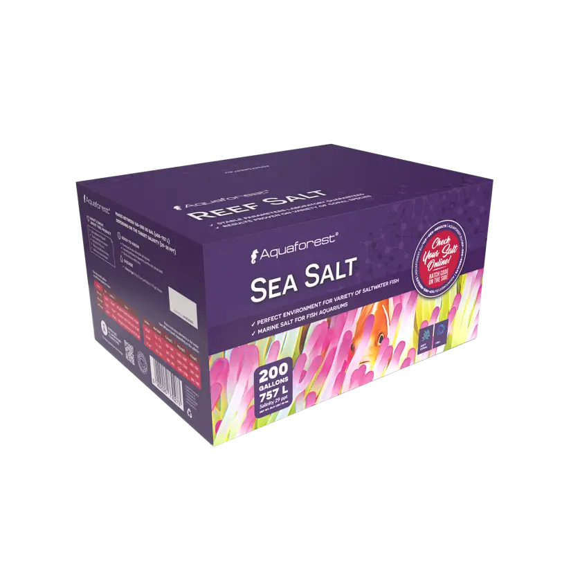 AQUAFOREST - Sea Salt Box - 25Kg - Carton of sea salt