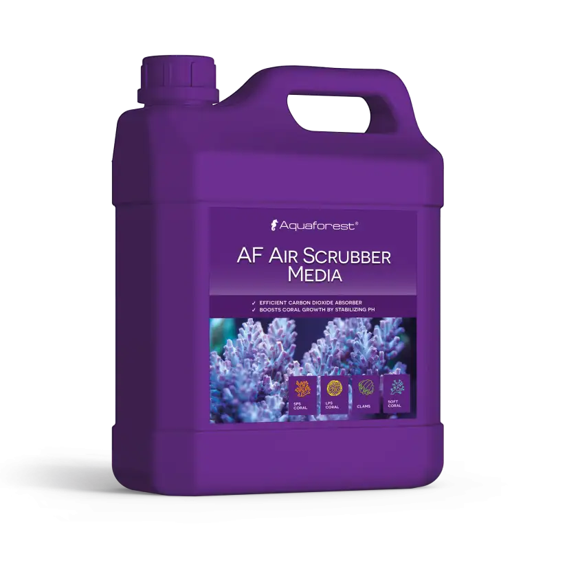 AQUAFOREST - Mezzi depuratori d'aria AF - 2000 ml - Assorbitore di anidride carbonica