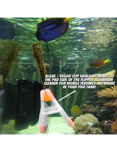 Aquarium Feeding Kit - Flipper – New Wave Aquaria