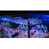 RED SEA - Max Nano - Halbinsel - 100 L - Ohne Möbel - All-in-One-Aquarium