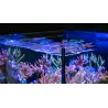 RED SEA - Max Nano - Penisola - 100 L - Mobiletto nero - Acquario all-in-one